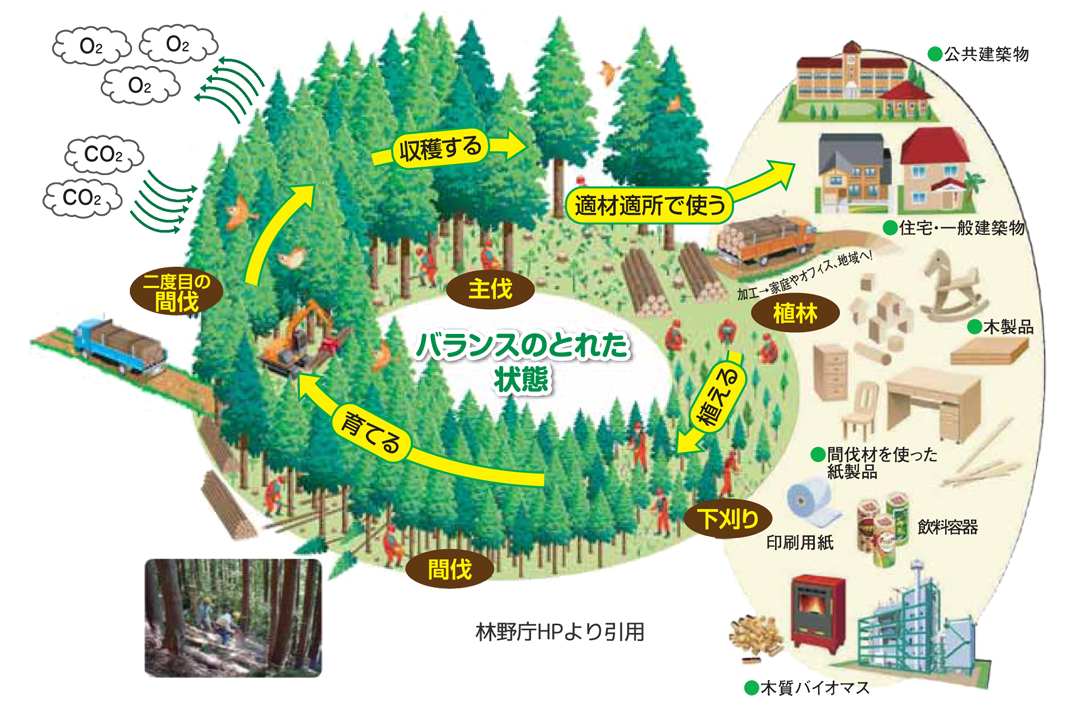 木材利用について