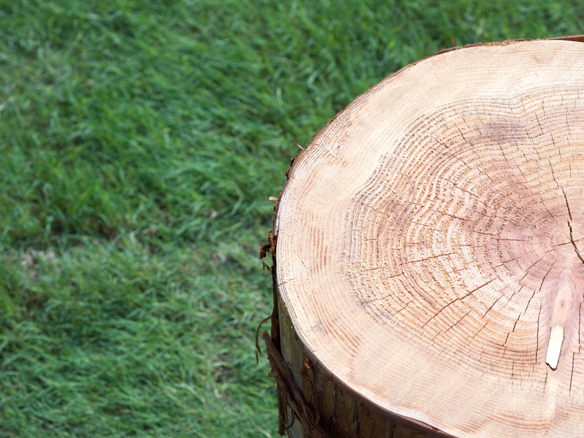 「名東木材」という商号にあるように、木材にこだわり、木材の利用推進を勧めております。